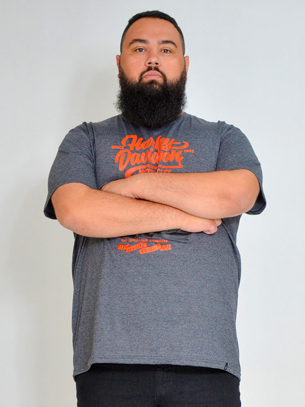Camiseta Plus Size Harley Grafite