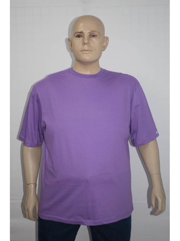 Camiseta Básica Plus Size Alfazema