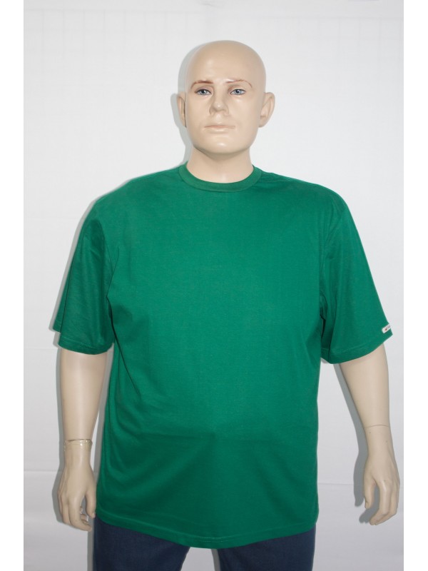 Camiseta Básica Plus Size Bandeira