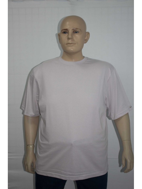 Camiseta Básica Plus Size Prata